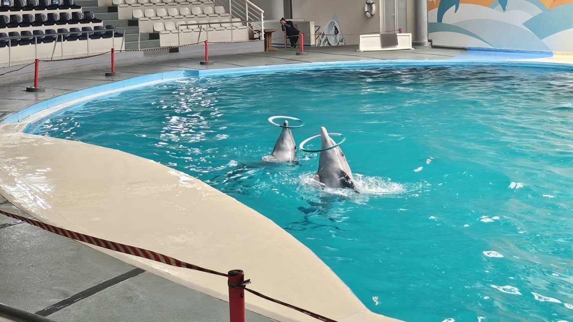 Öğrencilerimizin Dolphinarium Yunus Gösteri Merkezi Gezisi